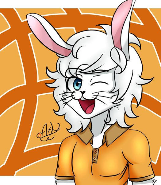 Rabbit Lincoln Loud by Allan Loud by augustospiller1259 on DeviantArt