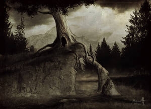 The old tree by Silvana-Massa-Art The old tree by Silvana-Massa-Art