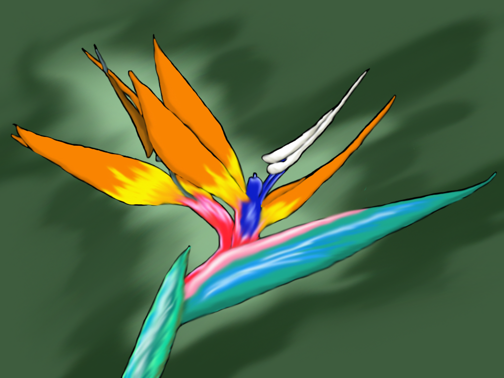 Bird-of-Paradise-completed