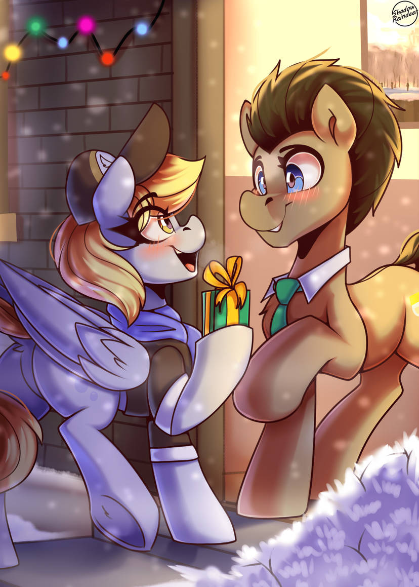 derpy_came_to_give_a_gift_to_the_doctor__by_shadowreindeer_dgkpf7p-414w-2x.jpg