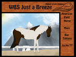 WBS Just a Breeze by HorseCrazy44