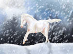 Through the Snow I Go | Payment for Caterang8 by HorseCrazy44