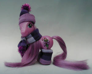 A winter pony 3