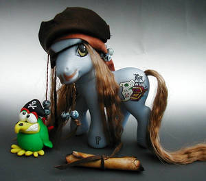 Seadog Pirate Pony