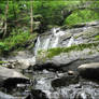 Stone Bridge at Vaughn Brook