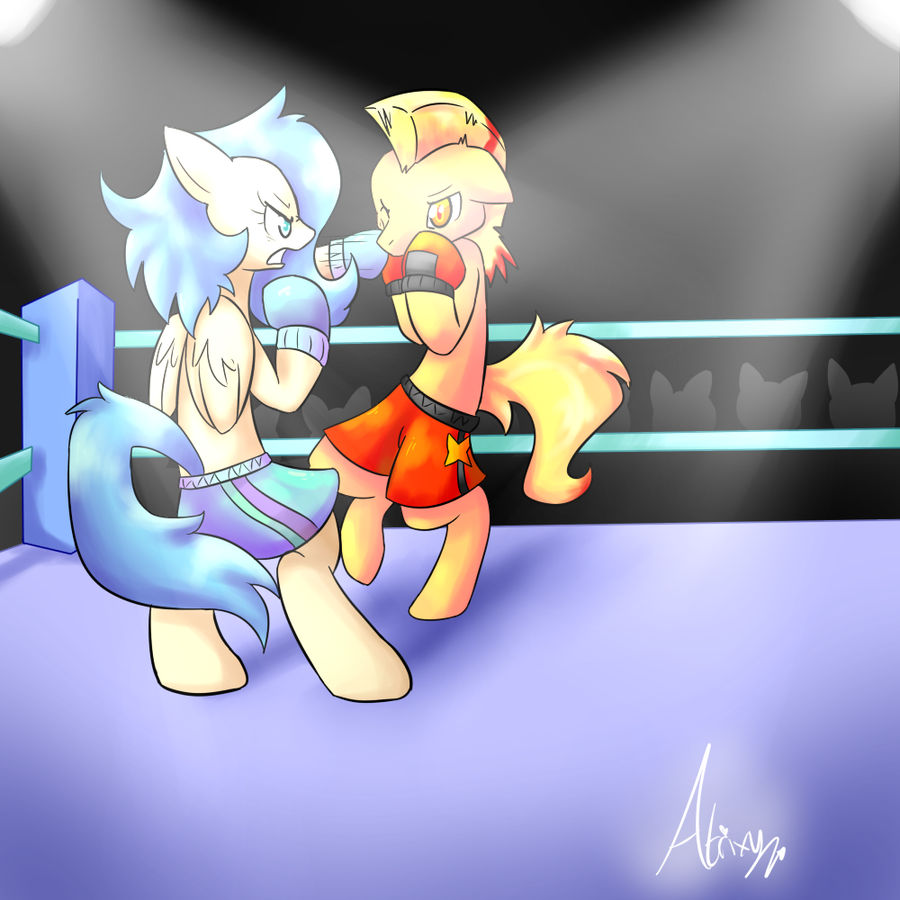 Boxin' Ponies