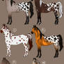 [A] Appaloosa Adopts [5/6 OPEN]