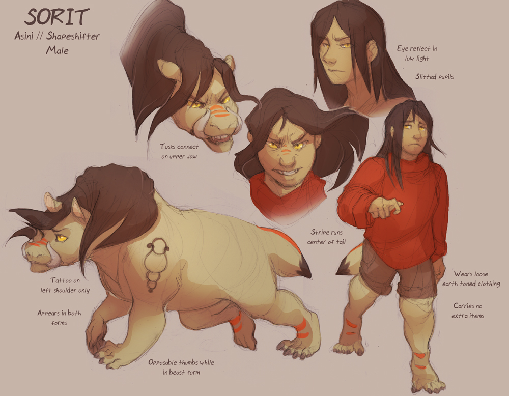 Character Sheet: Sorit