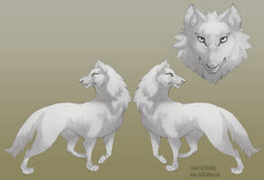 Wolf Character Sheet