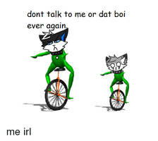 DONT TOUCH DAT BOI