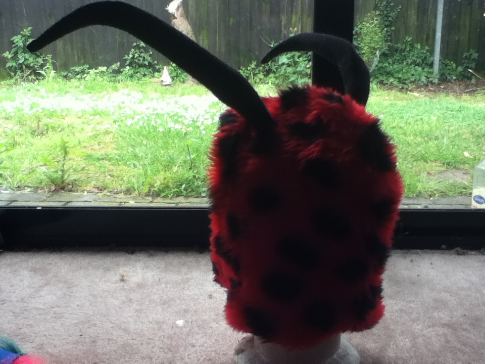 Ladybird Hat