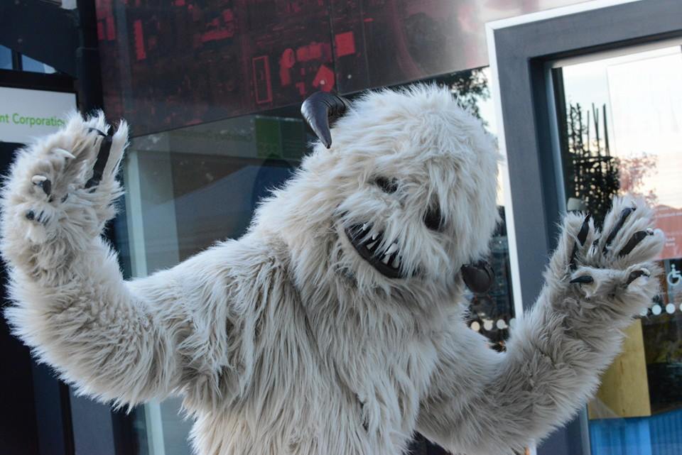 Wampa at the Market