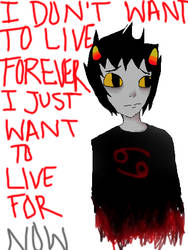 I DON'T WANT TO LIVE FOREVER