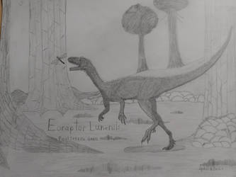 Drawing of Eoraptor