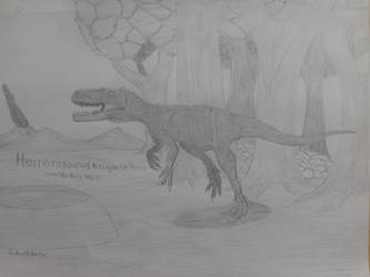 Drawing of Herrerasaurus 