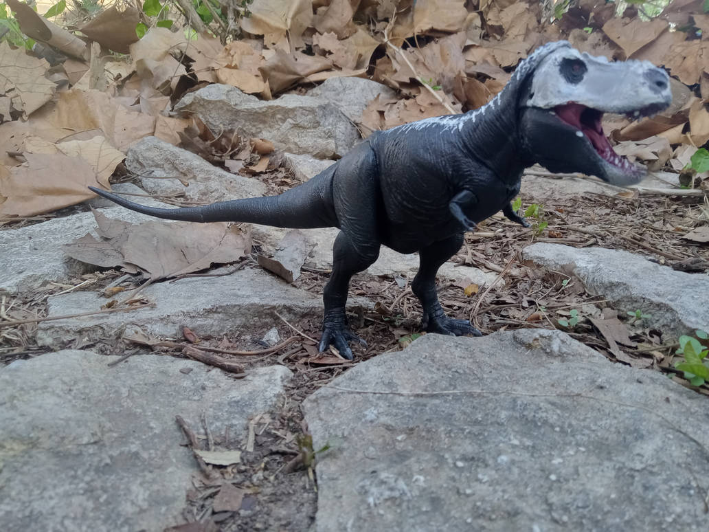 Jack Tyrannosaurus (BOTM Model, Solar Eclispe Day) by ...