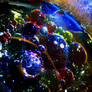 Bubble Bokeh 3