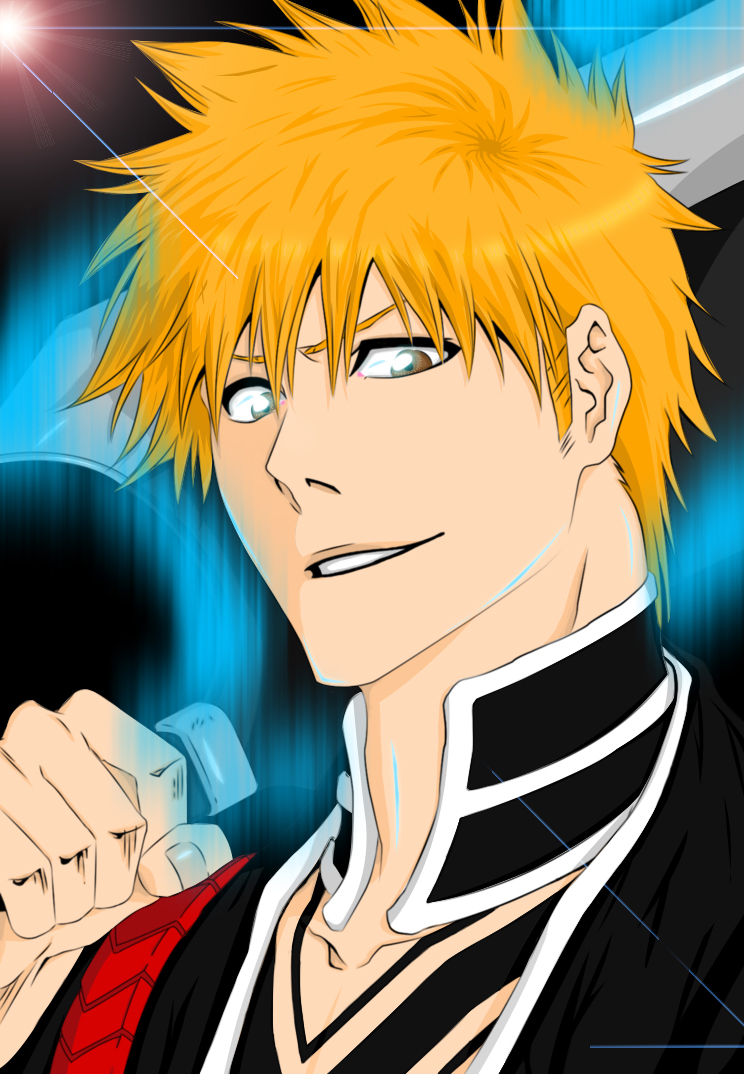 Kurosaki Ichigo - The Shinigami Daikou