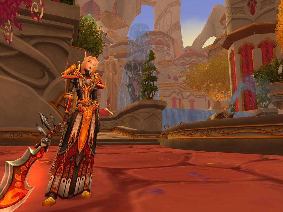 My Paladin...