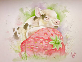 Strawberry Pig