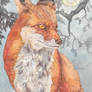 Moonlit Fox medium