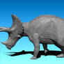Triceratops WIP
