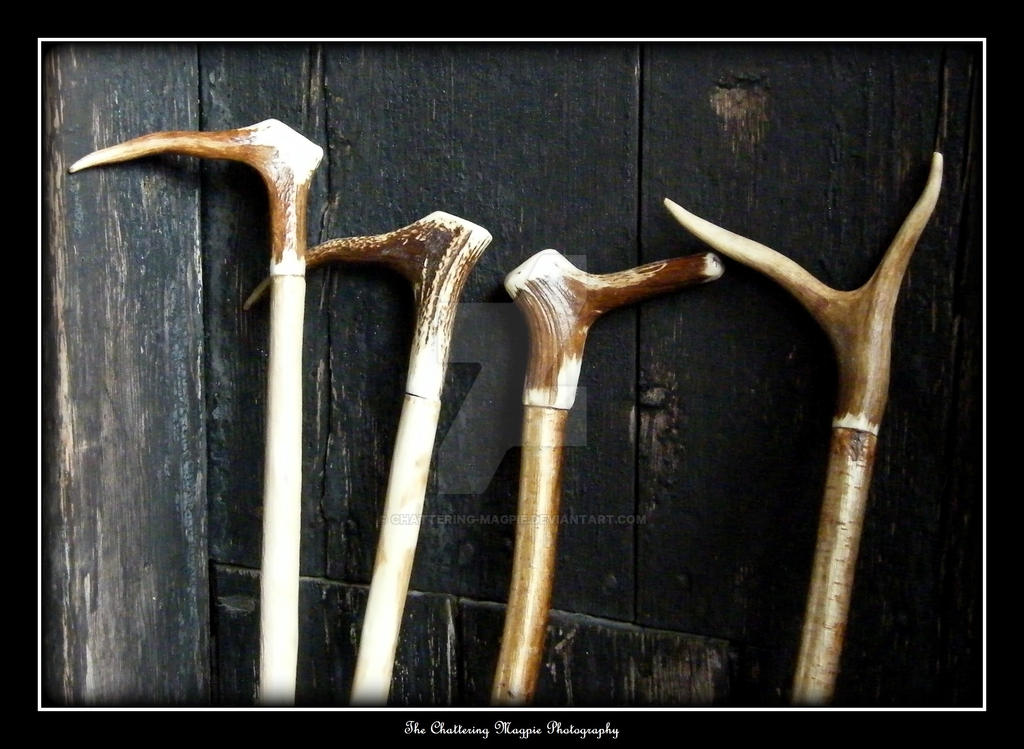 Stang Definition STAFFS AND STANGS by Chattering-Magpie on DeviantArt