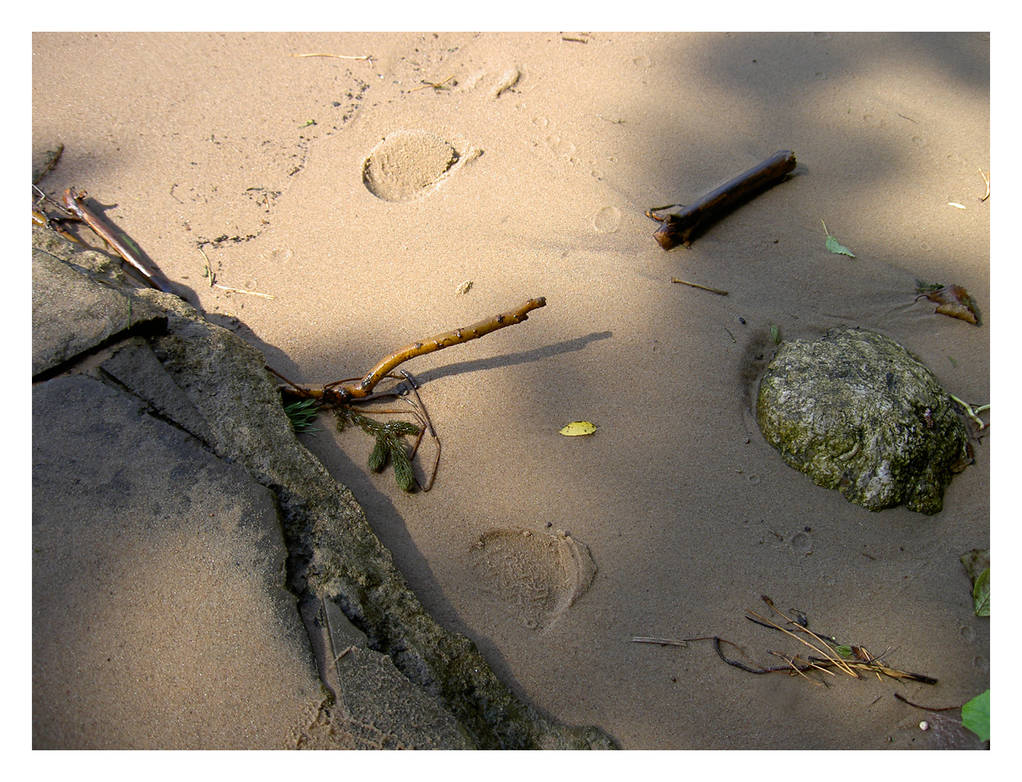 Walk on the beach