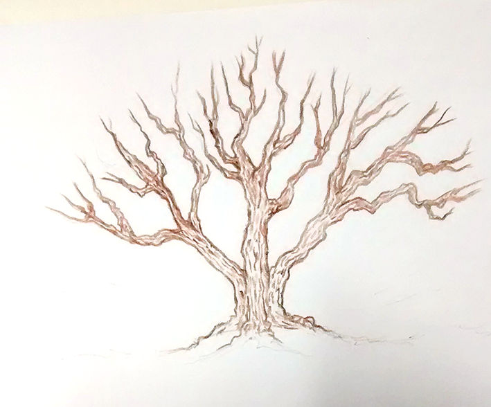 Arbol Sketch 03- in Progress by NelRios on DeviantArt