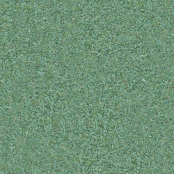 Seamless grass texture