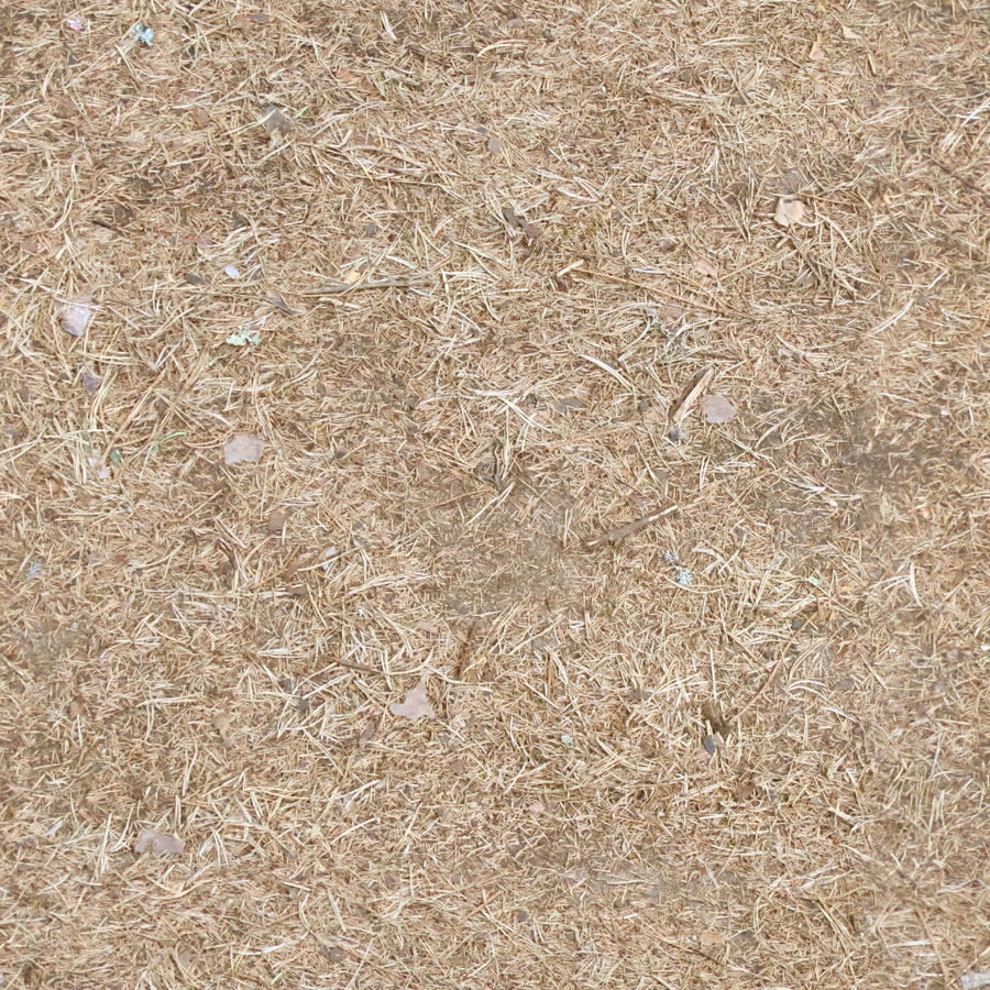 Seamless forest path texture by lauris71 on DeviantArt