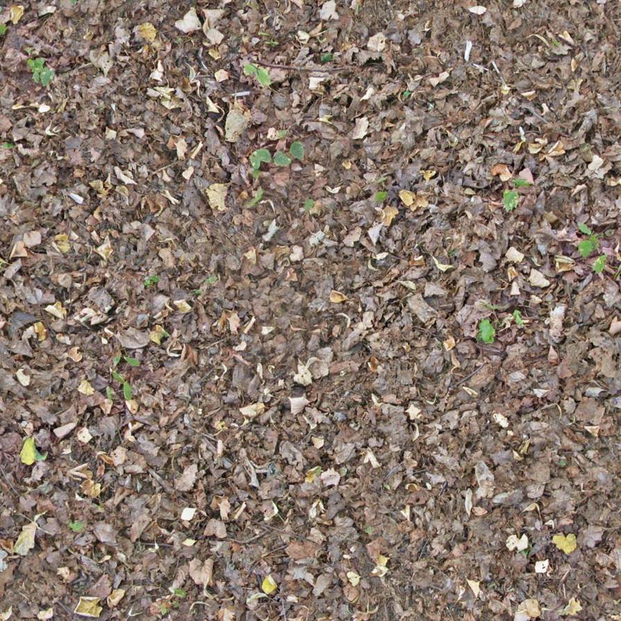 Мульча текстура