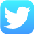 Twitter Large