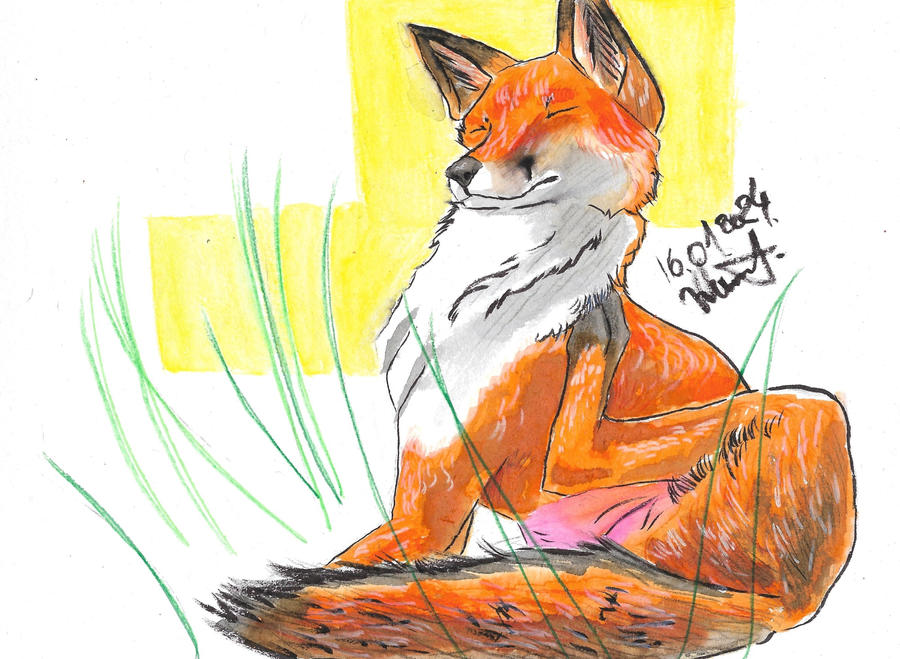 Deviantart Foxa fox.01 by varulf on DeviantArt