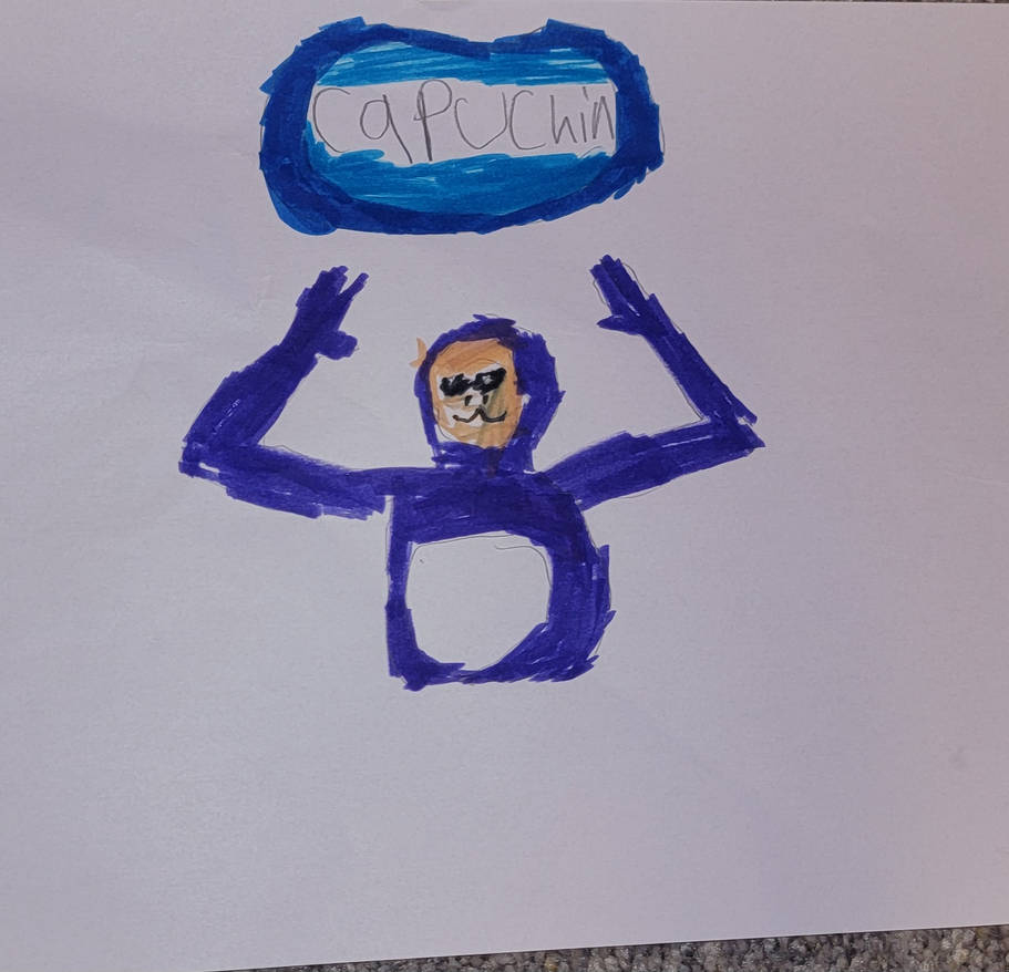 Capuchin Drawing by Zonicthehedgehog1235 on DeviantArt