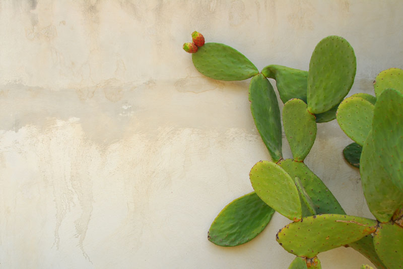 Sicilian heat