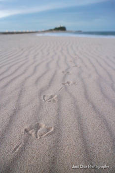 Footprints