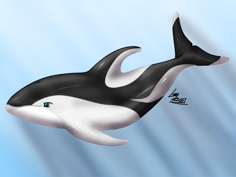 Pacific White Sided Dolphin