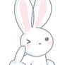 Bunny cute