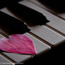 piano n love