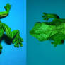 green tree frog 3.6