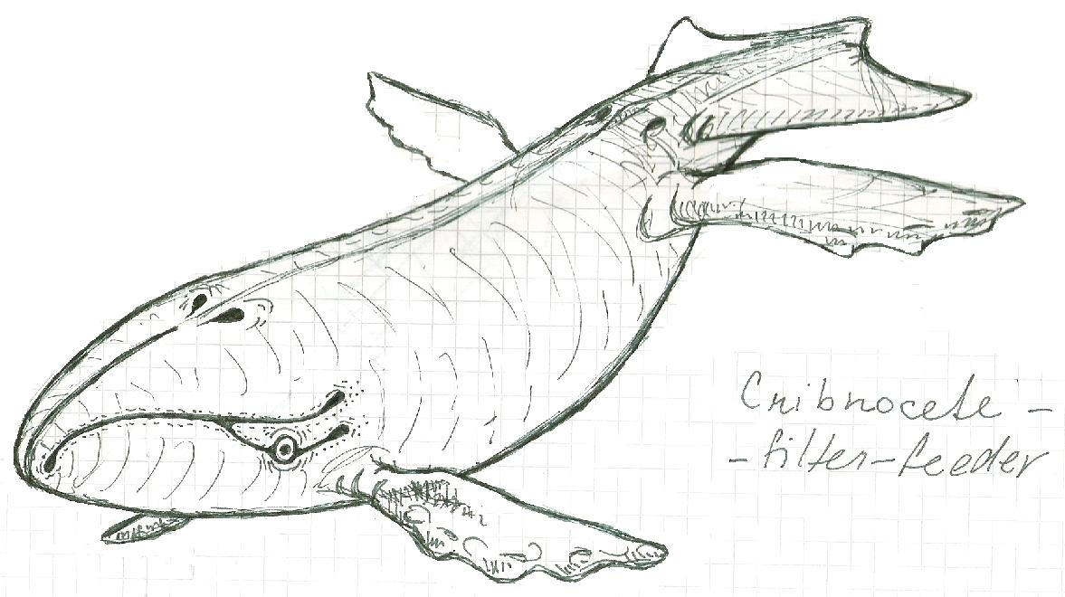 Giant Filter Feeder By PeteriDish On DeviantArt