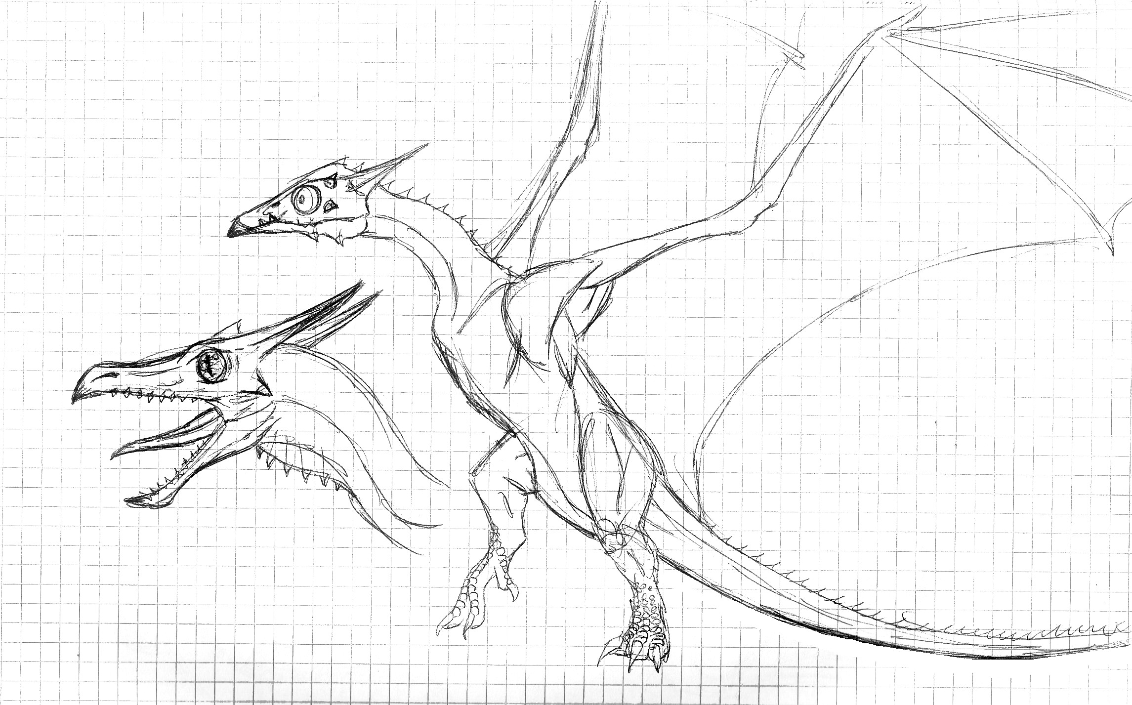 dragon sketches I.