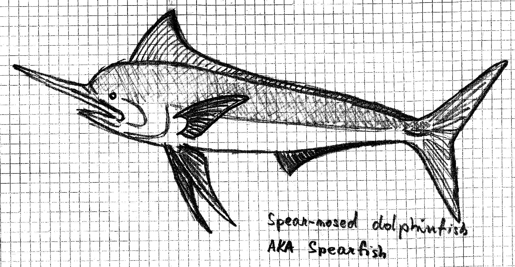 Spearfish