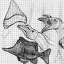 lobe-finned tang