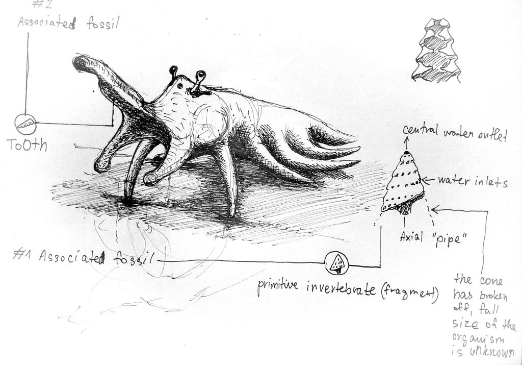 palaeo xenobiology challenge