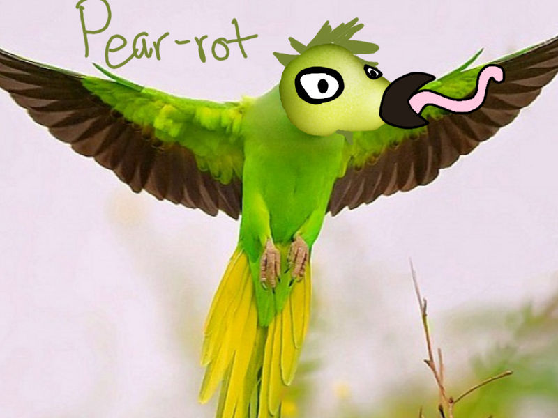 Pear-rot by winstonwarrior12 on DeviantArt