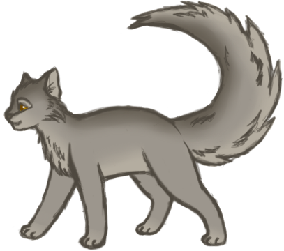 Graystripe