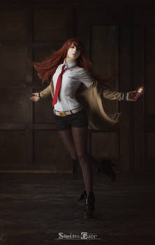 Steins Gate -  through space and time