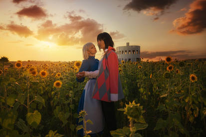 Howl's moving castle: Field of flowers